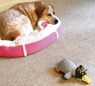 . Zelly - URGENT! .