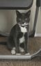 . Greyson .