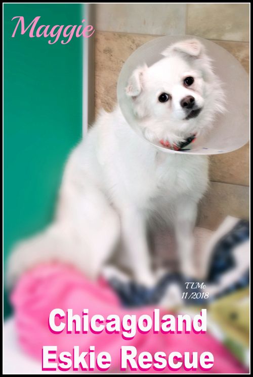 Maggie