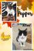 . Pepper .