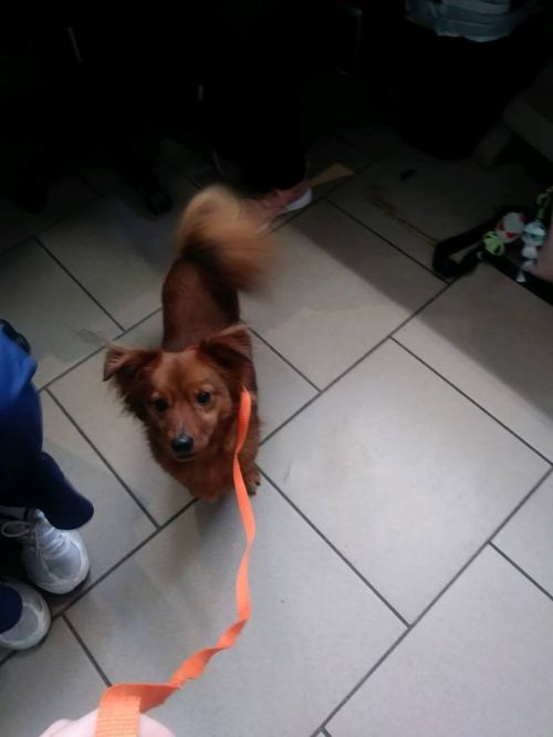 Photo of Axle