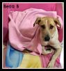 . Bella B .