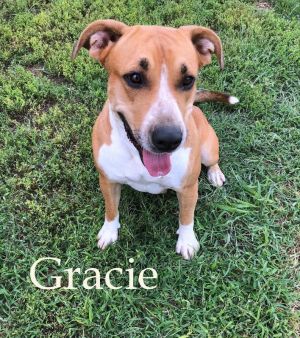 . Gracie (Gracelynn)-P4P do .