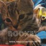 . Rocket .
