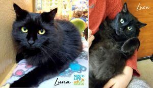 . Luna & Luca .