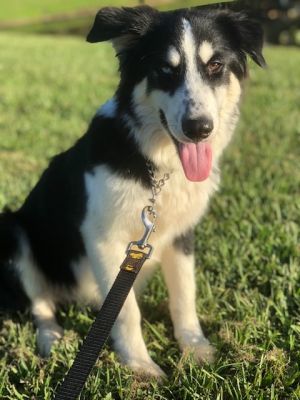 . Roscoe .