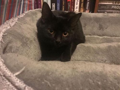 . Salem .