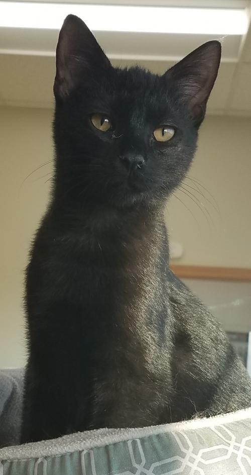 . Jet .