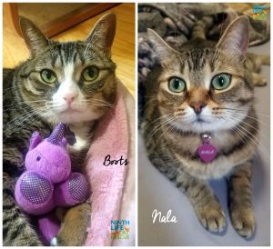 . Boots & Nala .