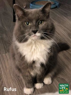 . Rufus .