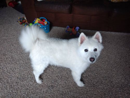 Milo
