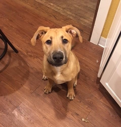 . Zeus .