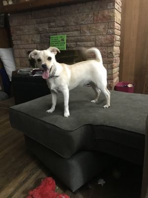 . Elliott .