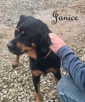 . Janice .