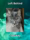 . Left Behind Smokey .