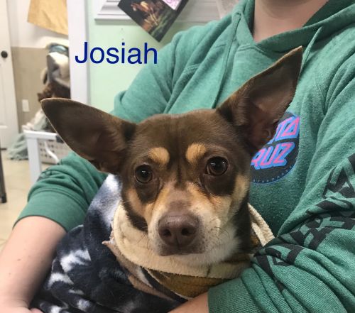 . JOSIAH .