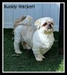 . Buddy Hackett .