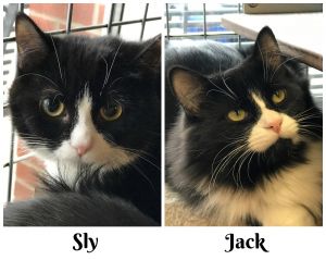 . Sly & Jack .