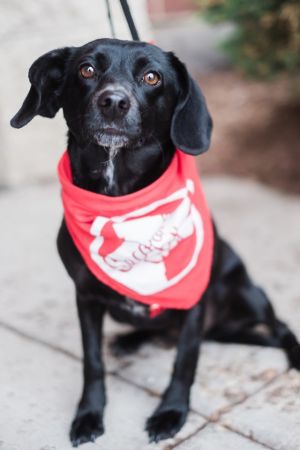 Photo of Hollee