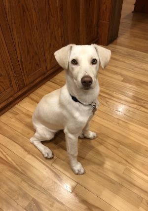 Photo of Candee