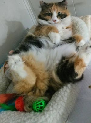 Photo of Sandy