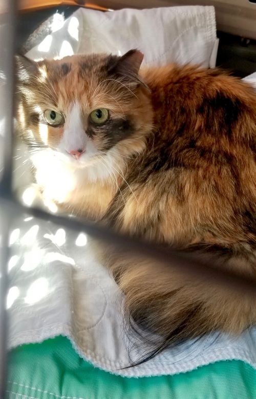 Photo of Sandy