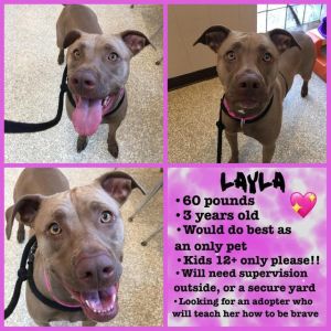 . Layla .