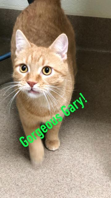 . Gorgeous Gary! .
