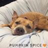 . Pumpkin Spice .