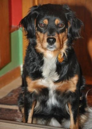 . Little Girl aka Lilly .