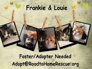 Photo of Frankie & Louie