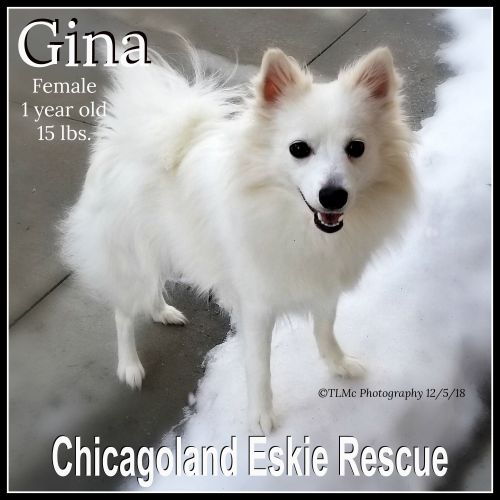 Gina
