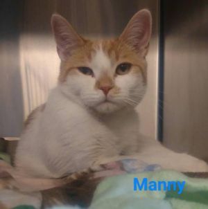 . Manny .
