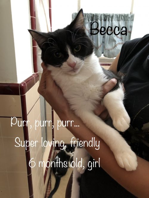 . Becca .