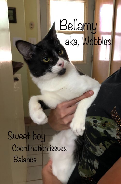 . Bellamy aka Wobbles .