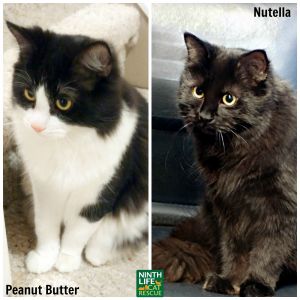 . Peanut Butter & Nutella .
