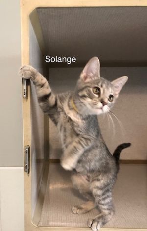 . Solange .