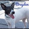 . Brayden .