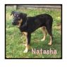 . Natasha .