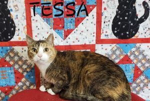 . Tessa .