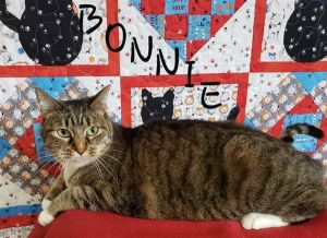 . Bonnie .