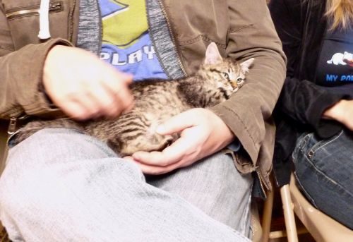 Photo of Munchkin