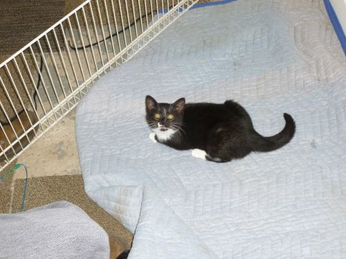 Photo of Xena
