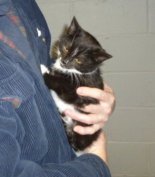 Photo of Xena