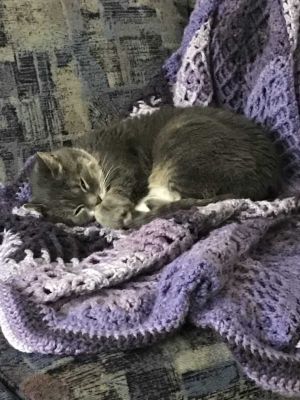 . Yarn .