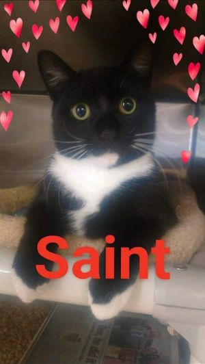 . Saint .