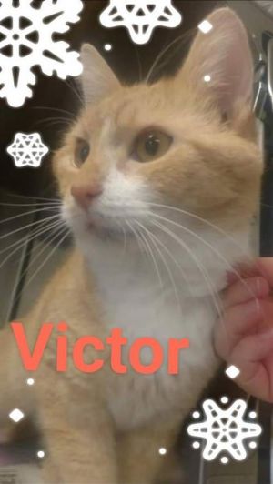 . Victor .