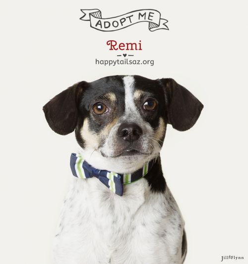 . Remi .