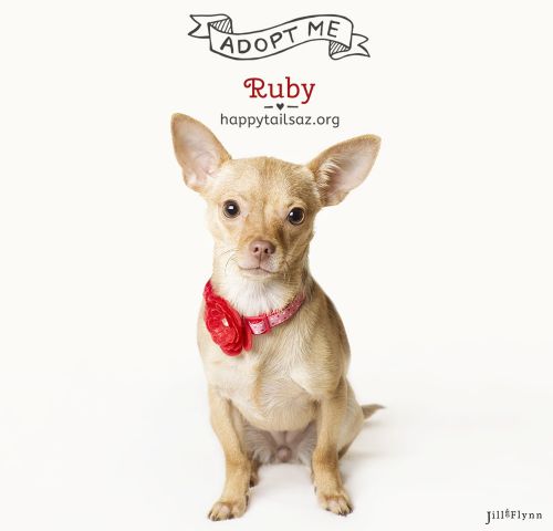 . Ruby .