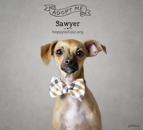 . Sawyer .